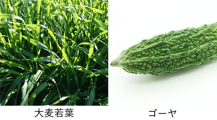 ファミリー・ライフ 九州産野菜使用 いつもの青汁