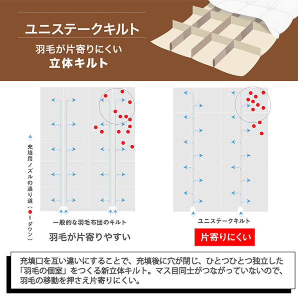 西川 日本製 ホワイトダックダウン85%使用 羽毛掛けふとん ライズ柄 KA02002001 1枚