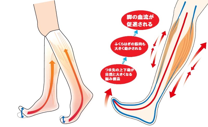 蘭華 履くだけ溜めないポンプアップ靴下 2足組