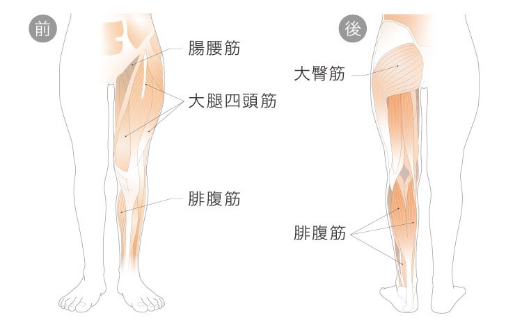 ドリーム ＆MEDICAL KAMOLEG（カモレグ） 2.0 1足