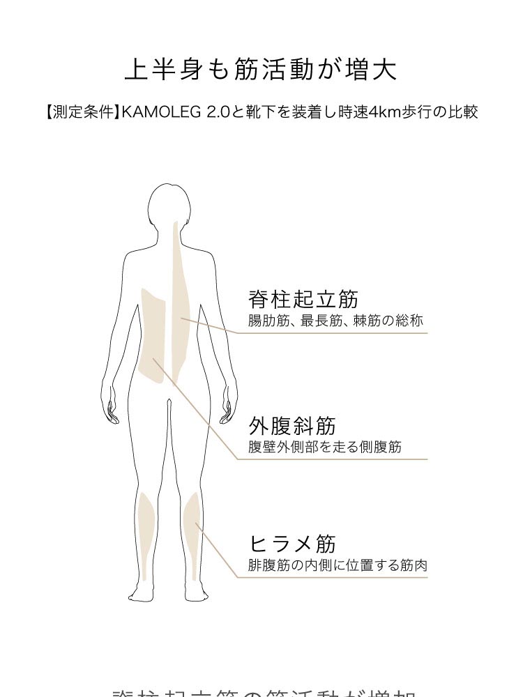 ドリーム ＆MEDICAL KAMOLEG（カモレグ） 2.0 1足