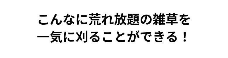 ファミリー・ライフ ファミラ NEW充電式コードレス3WAY草刈り機16点セット 04282 1個