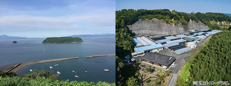 ニチモウフーズ 鹿児島県産 こだわりうなぎ蒲焼 長焼き＋きざみセット 各4袋 1セット