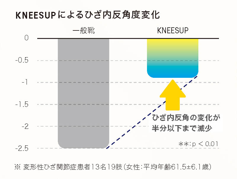 アシックス商事 ニーズアップ 紳士 ウォーキングシューズ 合皮（ファスナー付）4E