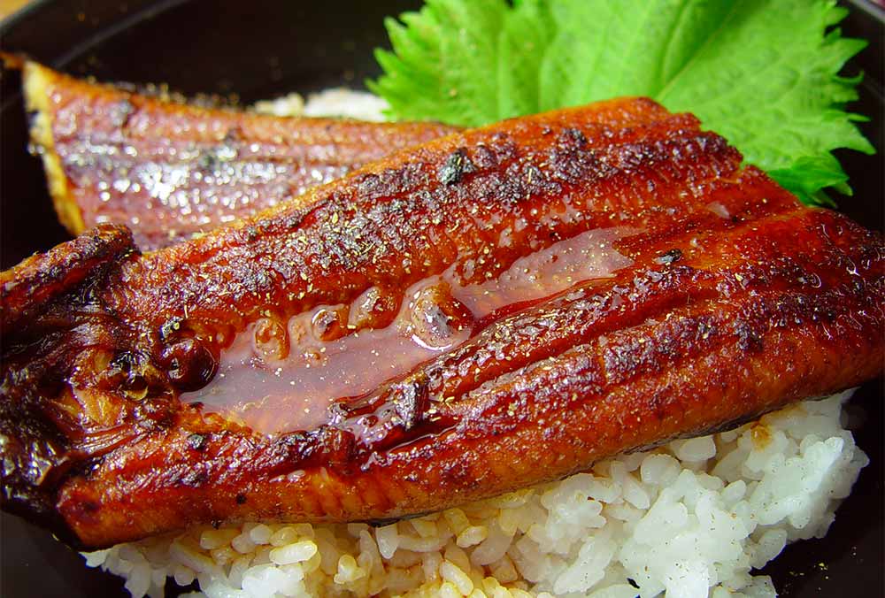 四万十味紀行 高知 「四万十味紀行」 高知県産うなぎ蒲焼カット 632-3 1セット:蒲焼カット70g×3、たれ15ml×3