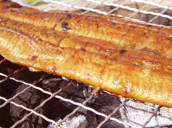 四万十味紀行 高知 「四万十味紀行」 高知県産うなぎ蒲焼カット 632-3 1セット:蒲焼カット70g×3、たれ15ml×3