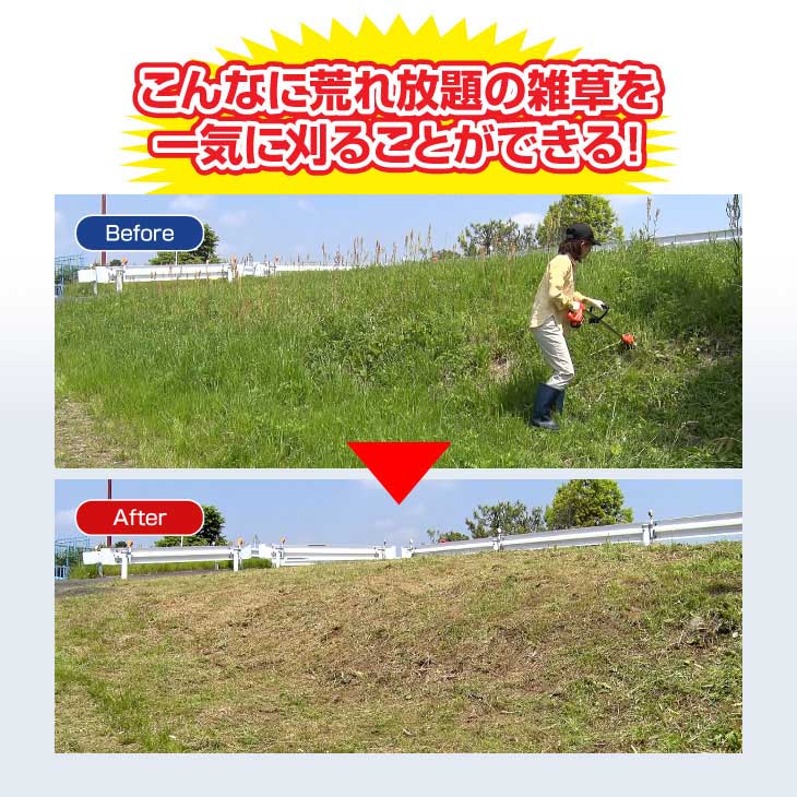 ファミリー・ライフ ファミラ 最新型充電式コードレス4WAY草刈り機 24点セット 1箱