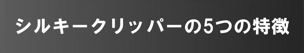 イマース・ジャパン 超一流の爪切り シルキークリッパー imjp023 1個
