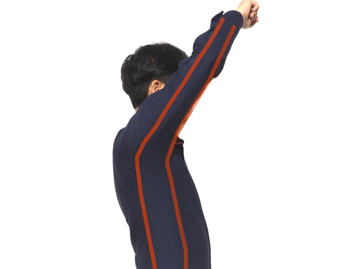 丸和繊維工業 INDUSTYLE TOKYO ストライプ ボタンダウンカラーシャツ レギュラーフィット 長袖