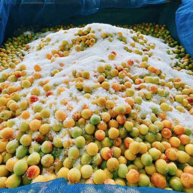 愛須食品 和歌山県産 紀州南高梅 梅干家あいす 毎日食べたくなるかつお梅干し