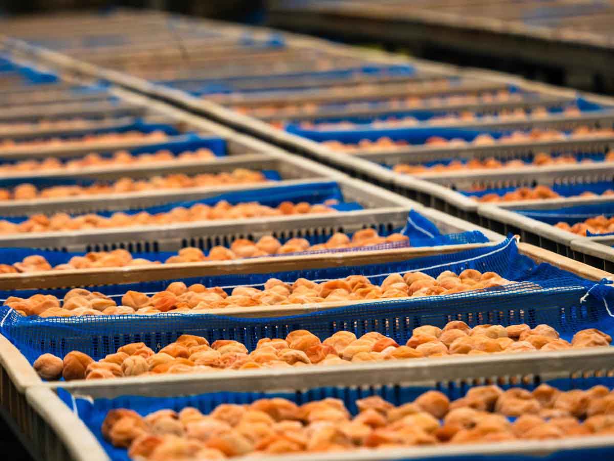 愛須食品 和歌山県産 紀州南高梅 梅干家あいす 毎日食べたくなるかつお梅干し