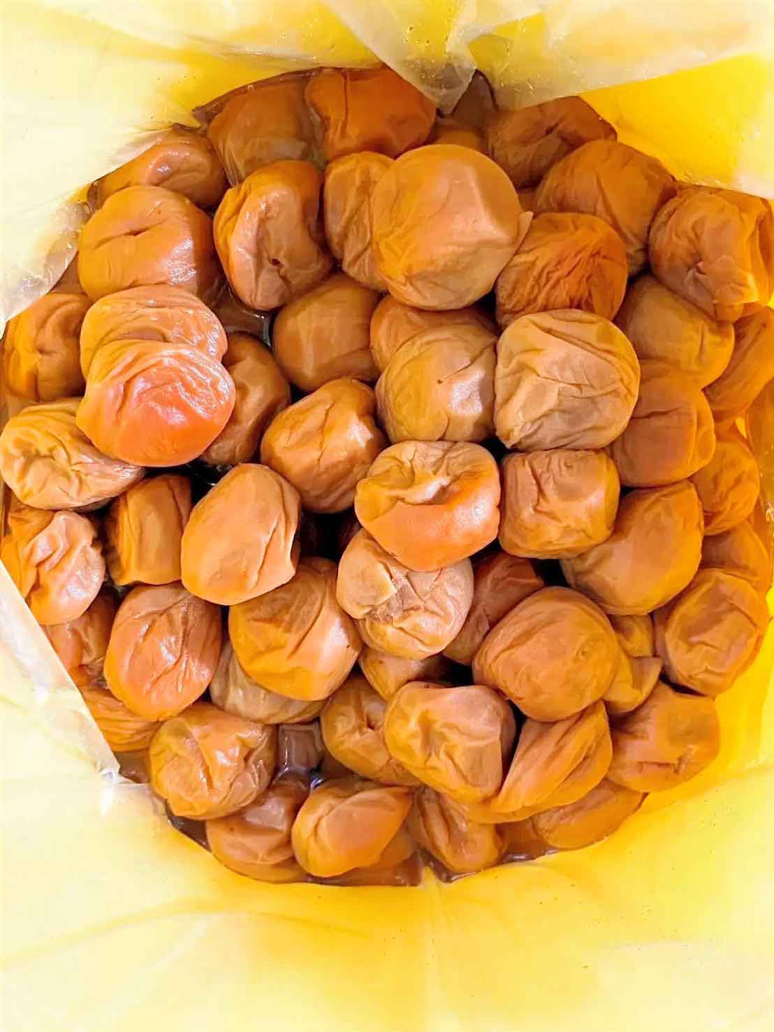 愛須食品 和歌山県産 紀州南高梅 梅干家あいす 毎日食べたくなるかつお梅干し