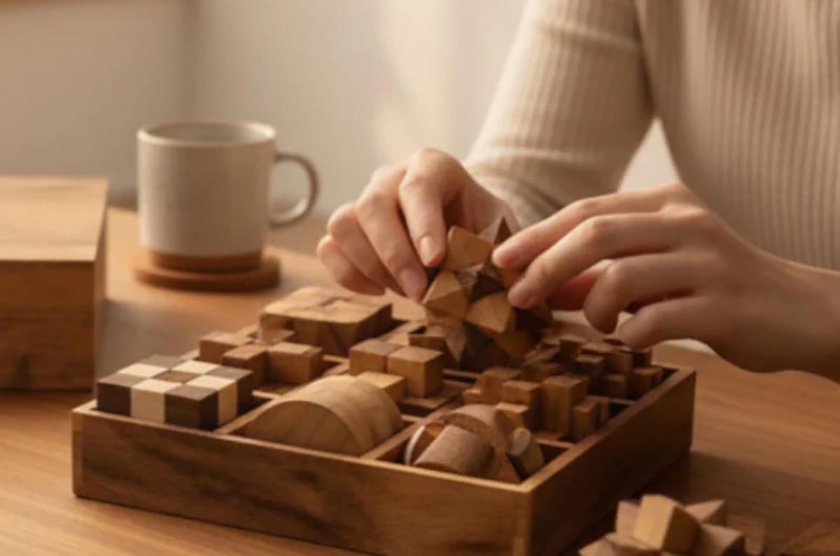 ロックスモーション 12ウッドパズルセット