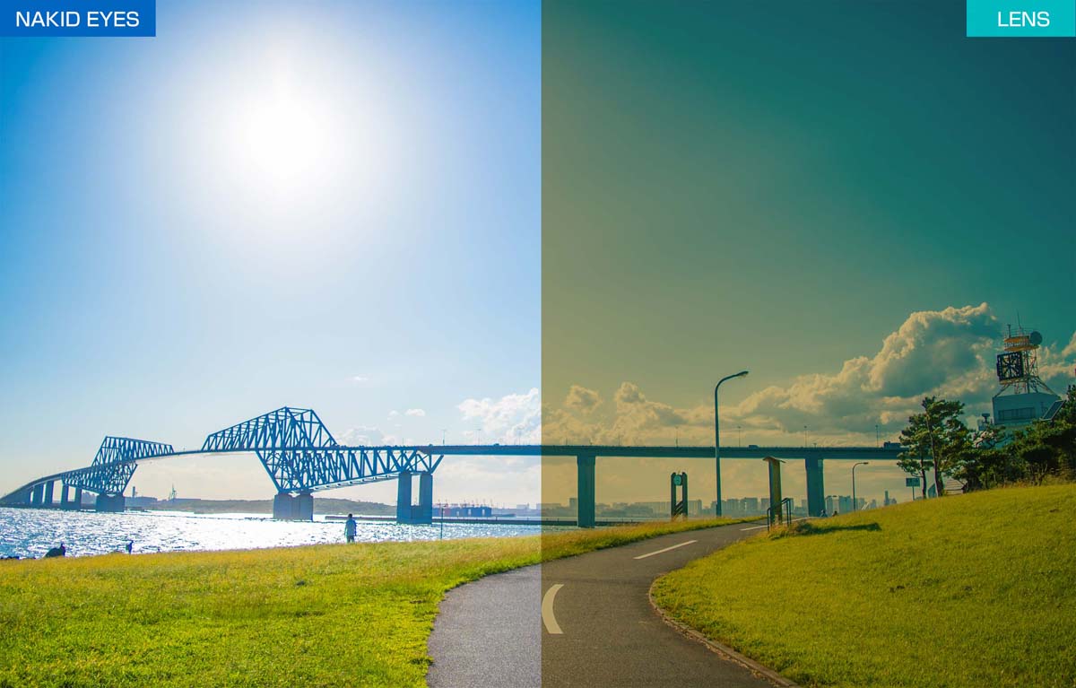 ジゴスペック AirFly（エアフライ） 鼻で掛けない自転車専用サングラス VITESSE ヴィテス ブルーマット