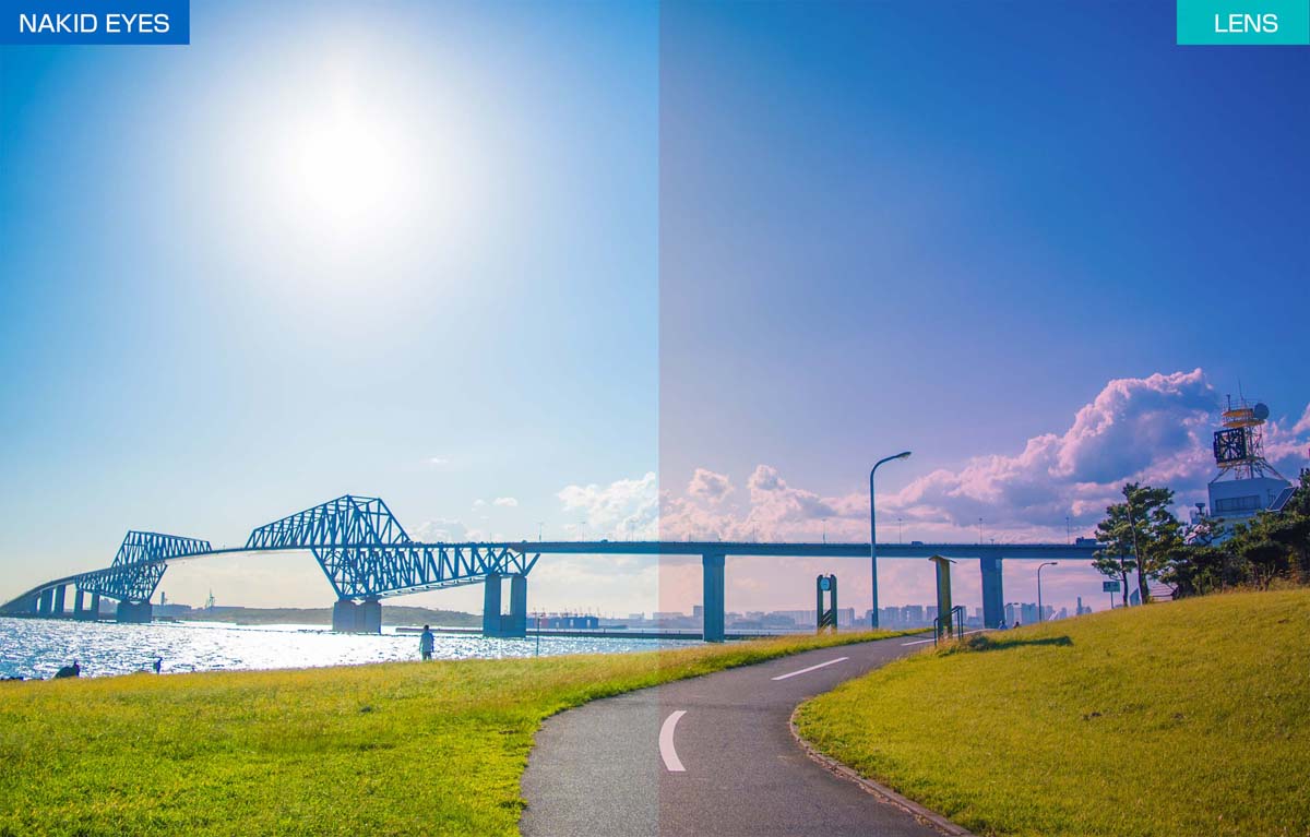 ジゴスペック AirFly（エアフライ） 鼻で掛けない自転車専用サングラス VITESSE ヴィテス ブラックマット