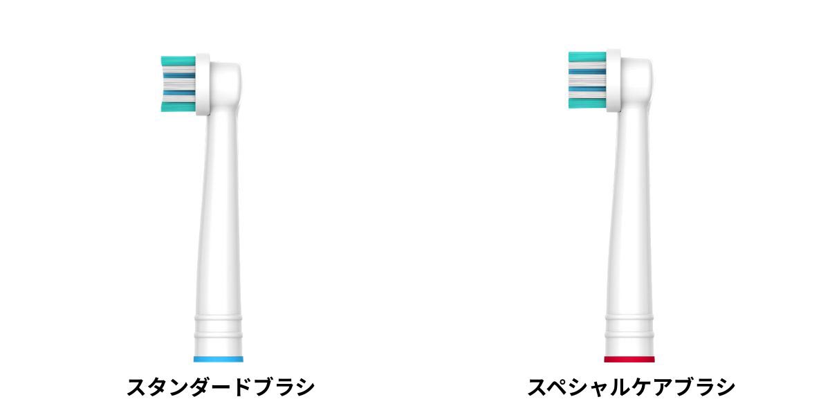 イーアンドケー 電動歯ブラシ ラウンブラッシュLE 特別セット