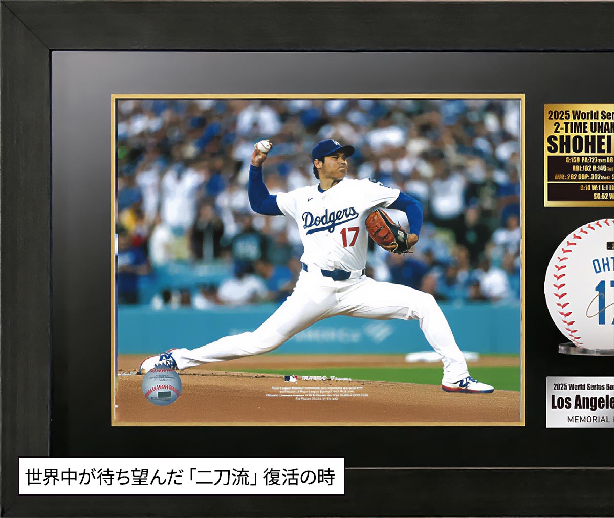 「大谷翔平」2025年MVP記念 シリアルナンバー入りサイン入りボール額装