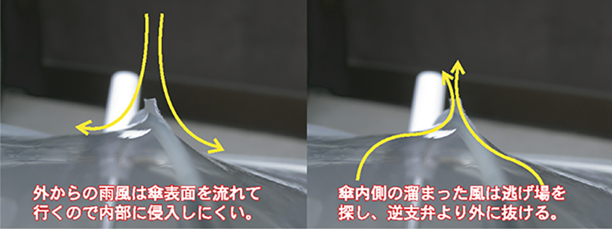 ホワイトローズ カテール16 神樹