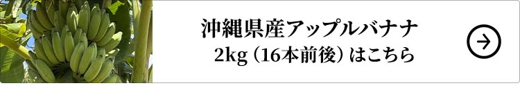 築地おぐま屋 沖縄県産アップルバナナ 2kg （16本前後）はこちら
