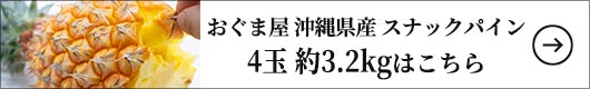 おぐま屋 沖縄県産 スナックパイン4玉 約3.2kg 約3.2kg（約800g×4玉)