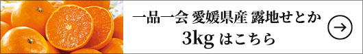 【訳あり】 一品一会 愛媛県産 露地せとか 3kg 1箱（約3kg：9～17玉）