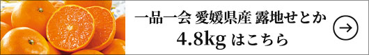 【訳あり】 一品一会 愛媛県産 露地せとか 4.8kg 1箱（約4.8kg：14～27玉）