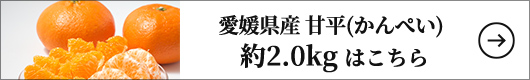 愛媛県産 甘平(かんぺい）約2.0kg