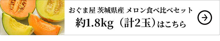 おぐま屋 茨城県産 メロン食べ比べセット 約1.8kg 1箱：約1.8kg（計2玉）