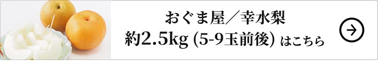 おぐま屋 幸水梨 約2.5kg 1セット：約2.5kg （5-9玉前後）