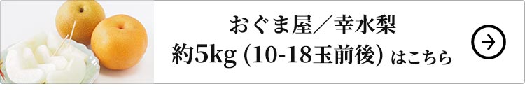 おぐま屋 幸水梨 約5kg 1セット：約5kg（10-18玉前後）