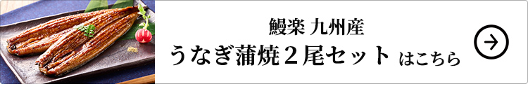 鰻楽 九州産うなぎ蒲焼2尾セットはこちら