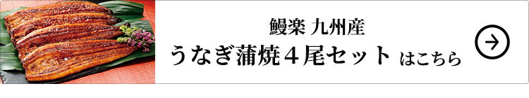 鰻楽 九州産うなぎ蒲焼4尾セットはこちら