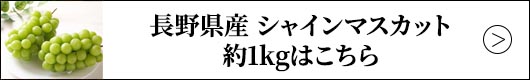 長野県産 シャインマスカット 約1kgはこちら