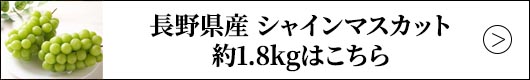 長野県産 シャインマスカット 約1.8kgはこちら