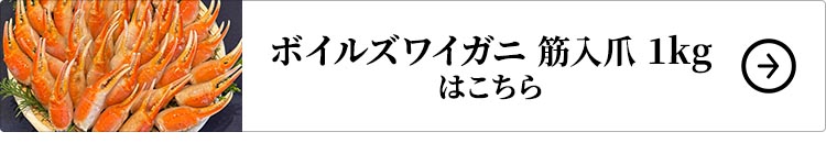 ボイルズワイガニ 筋入爪 1kg 1セットはこちら