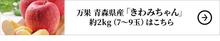 万果 青森県産 サンふじりんご 限定品「きわみちゃん」 約2kg（7～9玉）1セットはこちら