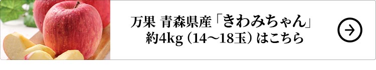 万果 青森県産 サンふじりんご 限定品「きわみちゃん」 約4kg（14～18玉）1セットはこちら