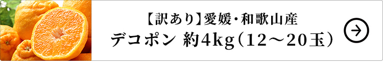 【訳あり】愛媛・和歌山産 デコポン 約4kg 1セット：12～20玉 はこちら