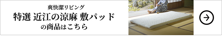 特選 近江の涼麻 敷パッドの商品はこちら