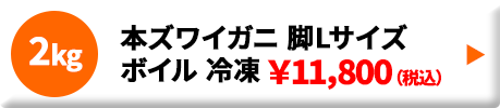 本ズワイガニ 脚Lサイズ ボイル 冷凍 2.0kg