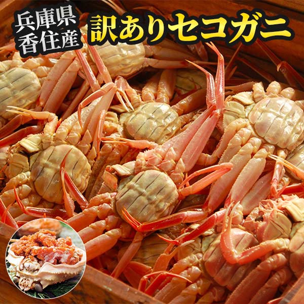 【訳あり】兵庫県香住産 セコガニ