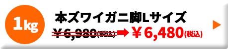 本ズワイガニ 脚Lサイズ ボイル 冷凍 1.0kg
