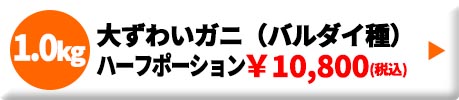 ボイル大ズワイガニ（バルダイ種） 1.0kg