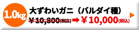 ボイル大ズワイガニ(バルダイ種) 1.0kg