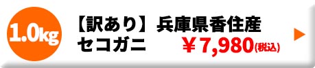 【訳あり】兵庫県香住産 セコガニ 1.0kg