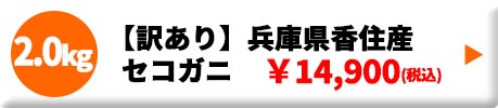 【訳あり】兵庫県香住産 セコガニ 2.0kg