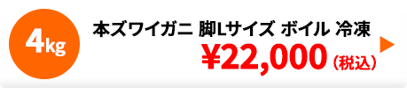 本ズワイガニ 脚Lサイズ ボイル 冷凍 4.0kg