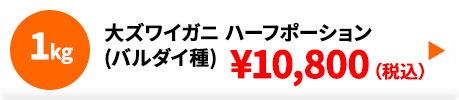 ボイル大ズワイガニ(バルダイ種) 1.0kg