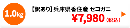 【訳あり】兵庫県香住産 セコガニ 1.0kg