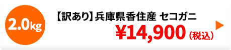 【訳あり】兵庫県香住産 セコガニ 2.0kg